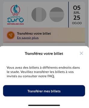 Transfer ticket different locations_FR.jpg