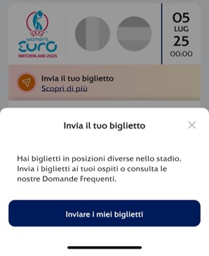 Transfer ticket different locations_IT.jpg